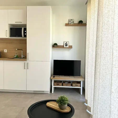T2 Avec Terrasse-corte
